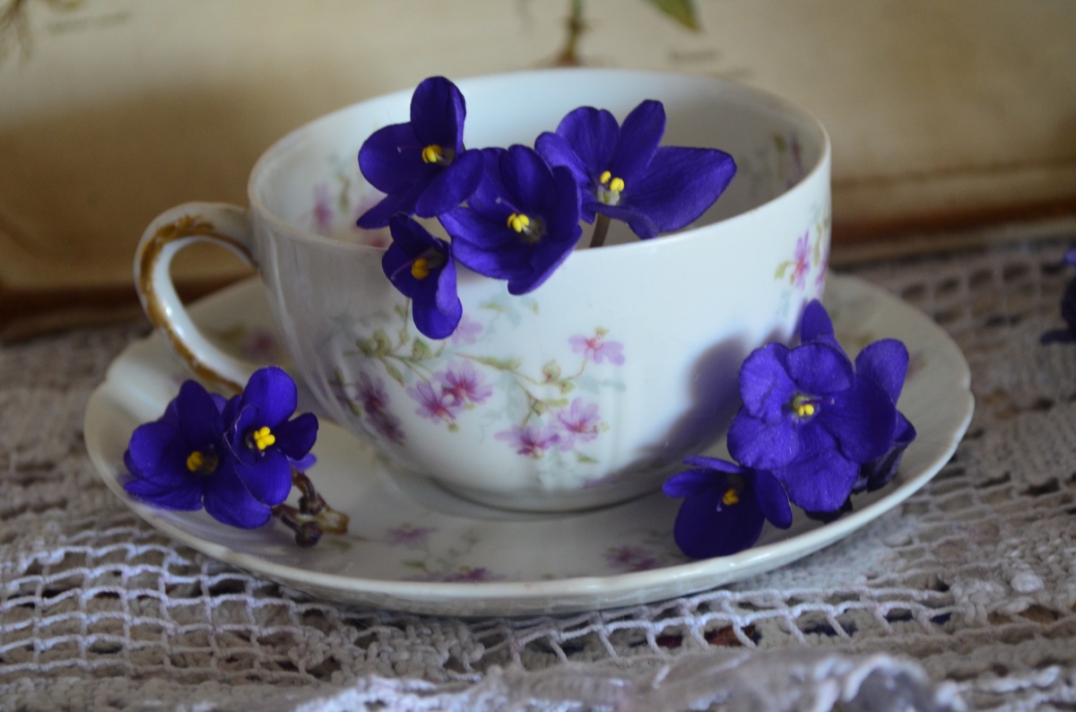 Tea cup Tuesday Theodore Haviland Limoges France Tea cup Fine china Lessons from Robert Montgomery Prince Edward Island Lucy Muad Montgomery Anne of Green Gables Tea cup Collections